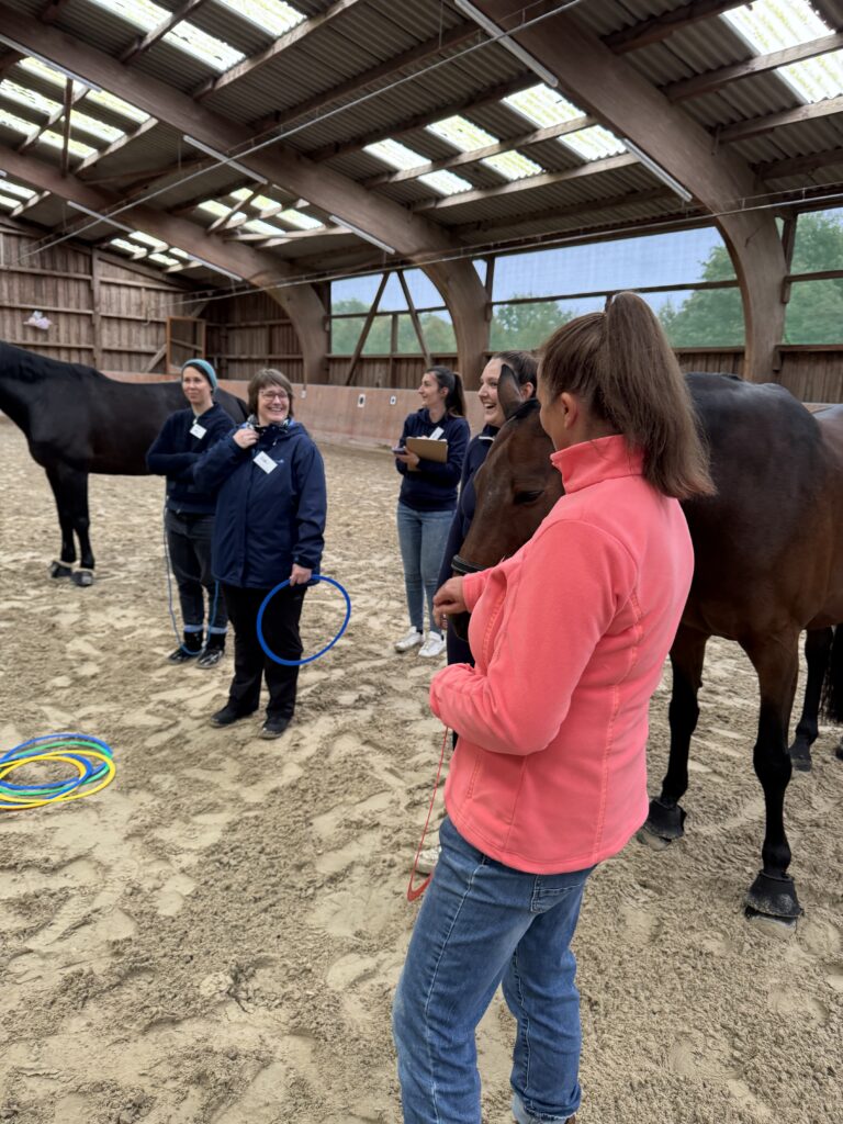 Team-Resilienz stärken
